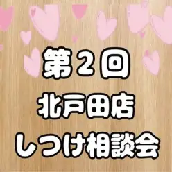 【 第2回目しつけ相談会レポート 】生後6ヶ月限定以内！子犬のしつけ相談会開催！