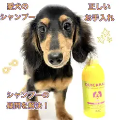 【 愛犬のシャンプー 】東川口店のトリマーが教える正しいお手入れレクチャー