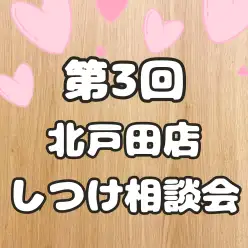 【 第3回しつけ相談会レポート 】埼玉県戸田市で開催！マルワン卒業生限定イベント