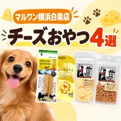 【 商品紹介 】愛犬を虜にするチーズおやつ4選！その魅力とは？