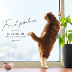 【 ファーストパートナー 】マルワン横浜元町店スタッフ小川の愛猫物語!