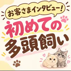 【 お客様インタビュー 】多頭飼いって実際どう?リアルな声をお届け!