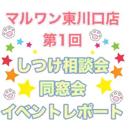 【 しつけ相談会 】埼玉県川口市のペットショップで第一回同窓会を開催しました!
