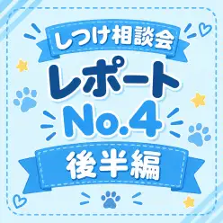 【 卒業生限定無料しつけ教室 】卒業生限定無料の特別レッスン！第4弾後半