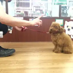 マルワン相模大塚店オリジナル！『マルワン塾』とは？！