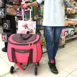 大倉山店発：押しても引いてもOKな万能ペットカートレビュー！