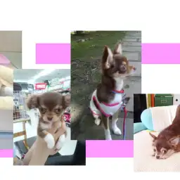 港北NT店5周年お祝いメッセージ