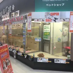 スーパーセール特別企画:マルワン大倉山店はこんなお店!
