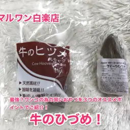 【牛のひづめ】最強?ワンコの為の固いおやつを3つのオススメポイントでご紹介!