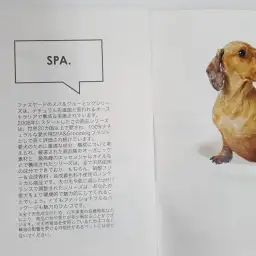 【Fuzzyard】：衝撃！オーガニックシャンプーの決定版登場！：白楽店トリミング通信Vol.7