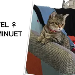 多頭飼いを目指す方必見!家族の数だけ幸せ倍増!笑顔倍増!:大倉山店企画