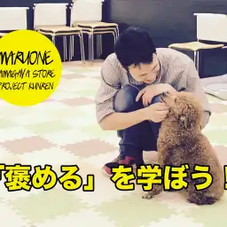 【ワンコのしつけ】効果的なワンちゃんの「褒め方」を学ぼう!:鎌ヶ谷店PROJECT KUNREN Vol.5