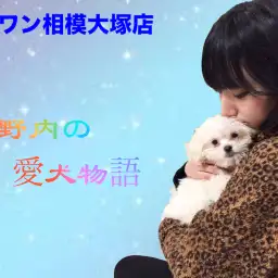【愛犬物語】相模大塚店スタッフの愛犬物語第3弾!〜木野内&モカ、ラテ編〜