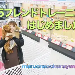 【新サービス】125フレンドトレーニングでわんこの犬馴れをサポート！：大倉山店SUPPORT INFORMATION