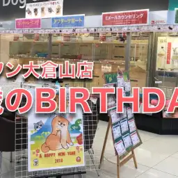 祝!!マルワン大倉山店5歳のお誕生日!!