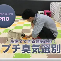 【プロ技公開】まるで警察犬！？お家でできる頭を使った遊び～プチ臭気選別～鎌ヶ谷店PROJECTKUNREN PRO VOL.3