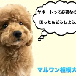 【お役立て情報】飼い主様サポートの必要性と重要性。安心が幸せへの第一歩!:マルワン相模大塚店