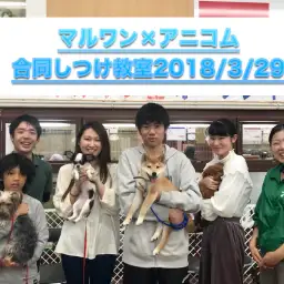 【アフターサポート:しつけ教室】その日から効果テキメン!里帰りして、お利口さんになっちゃおう♪:ペットショップマルワン相模大塚店
