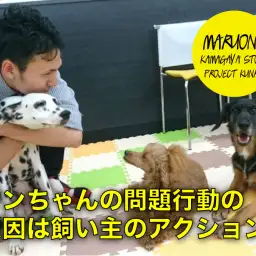 【 わんこのしつけ 】ワンちゃんの問題行動の原因は飼い主さんのアクション！？ プロジェクト訓練 VOL.15 マルワン鎌ヶ谷店 (千葉県鎌ケ谷市)