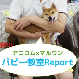 【 パピー教室 開催報告！】アニコム損保&マルワンコラボイベント！大倉山店編