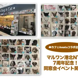 【 イベント情報 】マルワン港北NT店7周年記念!同窓会イベント告知!