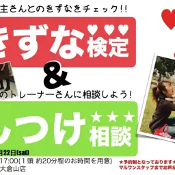【 9.22大倉山店FESTIVAL開催！情報その2 】「しつけ相談会＆きずな検定＆パピー教室」〜アニコム損保協力〜 ペットショップマルワン大倉山店フェス開催！ペティアポイントも2倍！