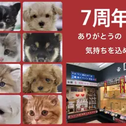 【イベント情報 】マルワン港北NT店7周年記念！店舗限定イベント告知！
