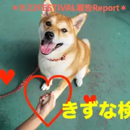 【 9.22大倉山店フェスレポート其の1 】愛は何よりも強し！ドキドキの「きずな検定編」