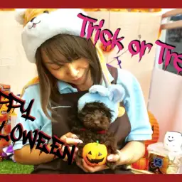 【 無料フォトスタジオのお知らせ 】大倉山店にご利用無料のハロウィーンブース出現！みんなで映えっちゃいましょ♥