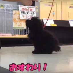 スーパーセール特別企画：マルワン志村坂下店はこんな店！