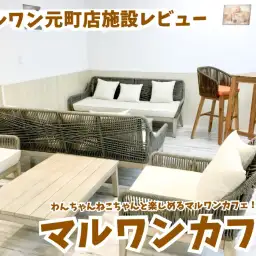 【 元町店施設情報  】わんちゃんねこちゃんと楽しめるマルワンカフェ！