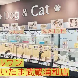 【 埼玉県・店舗紹介 】巨大なショッピングモールの中にあるマルワンさいたま武蔵浦和店ってこんなところ!!