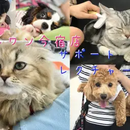 【 今宿店 サポート案内 】目指せお手入れマスター!卒業生サポート風景を大公開!