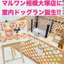 【 ドッグラン 】相模大塚店が進化!マルワンステーションの3つの魅力!