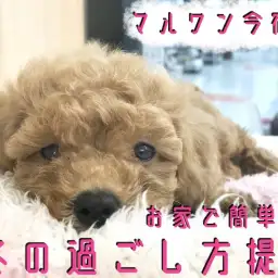 【 冬の保温対策 】お家で簡単DIY!今宿店発・冬の過ごし方提案!