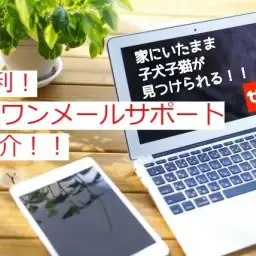 【 お役立て情報 】便利!”お家にいたまま”気になる子犬子猫を探せます!!