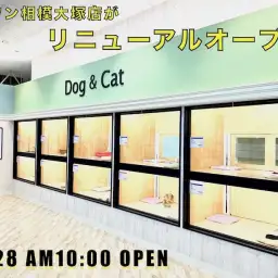 【 店舗紹介 】6周年を迎えた相模大塚店が生まれ変わってリニューアルオープン!