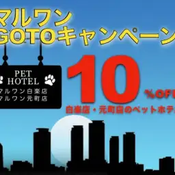 【 マルワンGO TO 】ペットホテルキャンペーンのご案内!