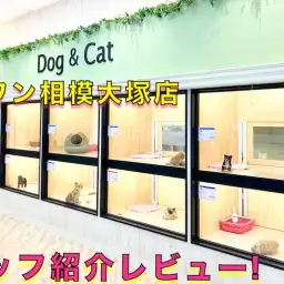 【 店舗紹介 】相模大塚店のスタッフをご紹介♪ペットとの馴れ初めもお話！