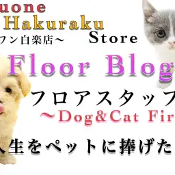 【 スタッフ紹介 】様々なサービスを展開する白楽店スタッフの紹介!フロア編