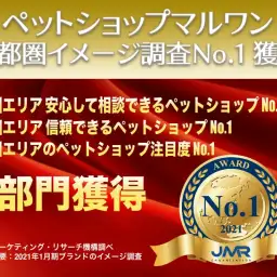 【 イメージ調査 】首都圏エリアリサーチにおいてマルワンが3部門のNo.1を獲得!
