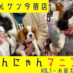 【 わんにゃんマニア 】初心者必見!マルワン今宿店流、愛犬・愛猫のお迎えガイド!