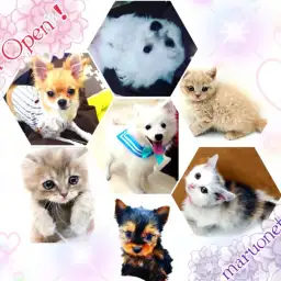 【 OPEN 】2月27日(土) マルワン高井戸店リニューアルオープンです!