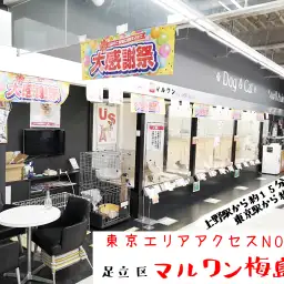 【 店舗紹介 】マルワン東京エリアで一番アクセスがいい店舗! マルワン梅島店