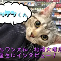 【 卒業生インタビュー 】成約者様限定のアフターサポートとは?マッケンくんに密着