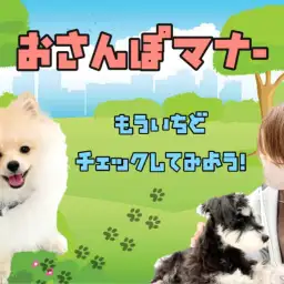 【 お散歩マナー 】愛犬の身は飼い主様が守ろう!いつものお散歩を振り返ってチェック!