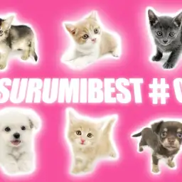 【 鶴見店BEST#05 】7/2版わんにゃん最新情報!「おトイレ編」PART1