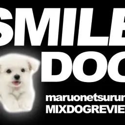 【 MIX(マルチーズ×チワワ) 】奇跡のハイブリッド!その名も「チワチーズ」!