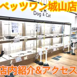 【 店舗紹介 】カインズホーム城山店内「ペッツワン城山店」をご紹介！