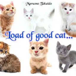 【 子猫をお迎えしたら 】コレでおりこうさんへの道が開けます~しつけ編~